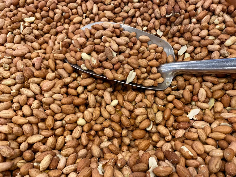 Raw groundnuts with a scoop