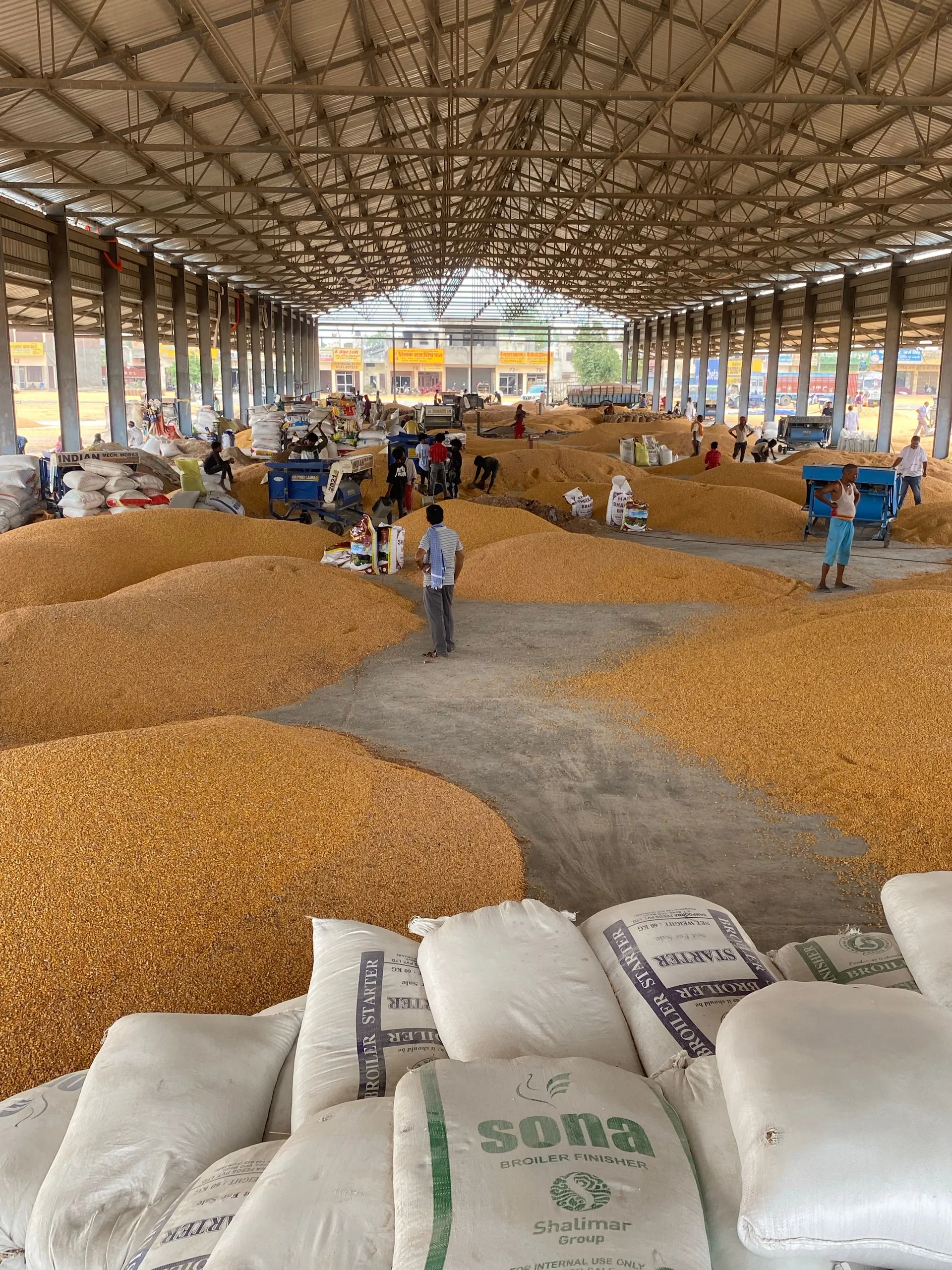 Grain stored in an agricultural warehouse